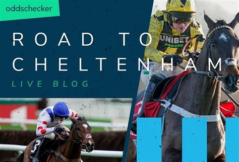 cheltenham oddschecker|oddschecker cheltenham 2023.